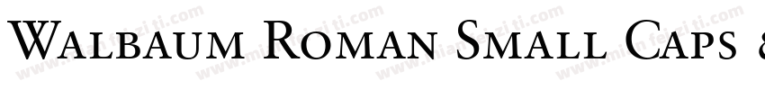 Walbaum Roman Small Caps & Oldstyle Figures字体转换
